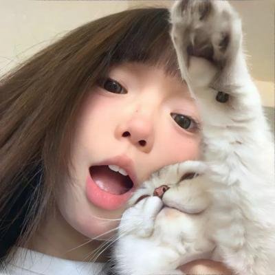 底牌封面